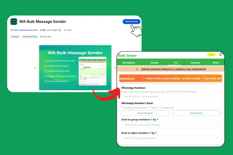 WhatsApp 群發陌生人：免加聯絡人批量發送工具教學- BulkSender