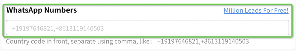 WhatsApp Numbers input